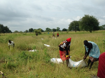 Women collect food sacks air dropped by the World Food Programme (WFP) in Duk county's Ayueldit on 25 July 2014 (ST)