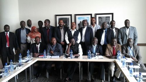 A delegation from the Popular Congress Party and the joint delegation of Darfur rebel groups pose in a picture after a meeting held on the sidelines of the peace talks on 29 November 2014 (ST)