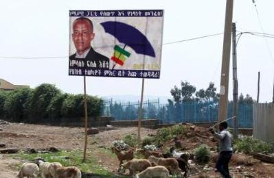 A man herds his animals near a billboard of Blue Party candidate Amlaku Fiseha Ishete on the outskirts of Ethiopia's capital Addis Ababa, May 23, 2015. Reuters Photo)