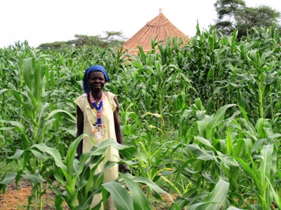Mary Lokali tours her maize plantation July 3, 2015 (ST)