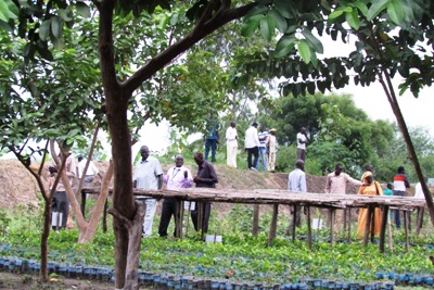 Jonglei residents and officials tour the nursery beds August 20, 2015 (ST)