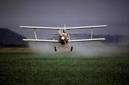 A spray plane sprays pesticide on peas in an undated photo. (Getty Images)