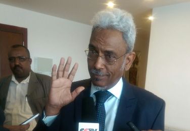 Head of government delegation for talks for peace in Darfur Amin Hassan Omer speaks to reporters in Addis Ababa on Friday 20 November 2015  (ST Photo)