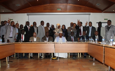 Leaders and delegates of the Sudan Call forces pose in a collective picture at the end of their meeting outside Paris on November 13 2015 (ST Photo)