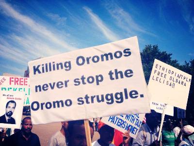 A group of protestors carry placards in support of Oromia region (Opride.com)
