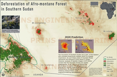 Forest loss along the edge of Mount Dongotomea in South Sudan from Google Earth.