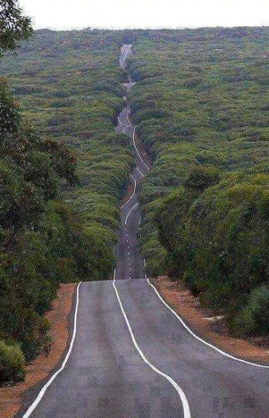 General view of Juba Nimule road leading to Nimule Park and neighbouring Uganda (Pinterest photo)