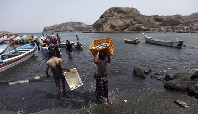 Fishermen transport fish from their boats in the southern city of Aden, situated at the mouth of the Red Sea, Aug. 22, 2013. (Reuters/Mohamed al-Sayaghi Photo))