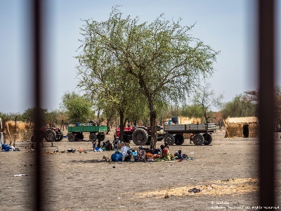 IDPs based in Aburoc take shelter under a tree. When people arrived from Kodok few had shelter (Anthony Jouannic/MSF)