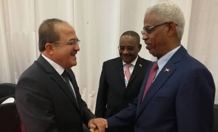 Sudan's defence minister Awad Ibn Ouf  shakes hands with his Turkish counterpart Fikri Isik in Istanbul on 9 May 2017 (ST Photo)