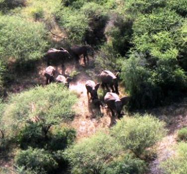 South Sudan national parks and human activity (WCS photo)