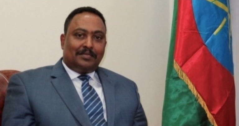 Workneh Gebeyehu, Ethiopia Foreign Minister (ENA Photo)