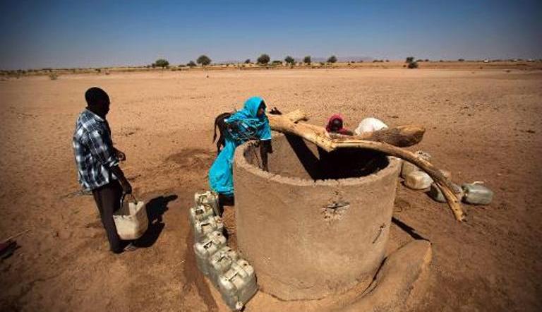 Children collect water from a well in the village of Shagra, North Darfur, January 16, 2014 (Phys.org)