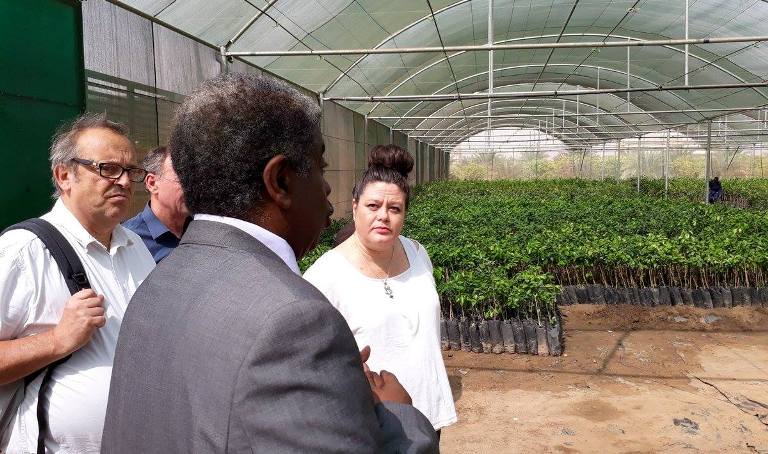 France's Ambassador to Sudan Emmanuelle Blatmann visits  a plant nursery in Khartoum on 21 Dec 2017 (Ambassade de France -Khartoum- Photo)