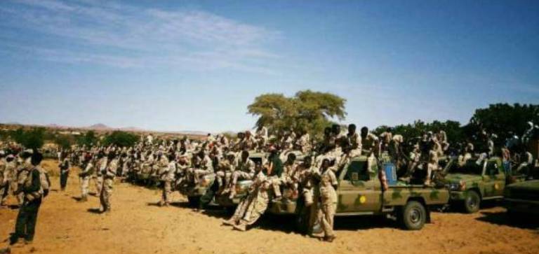 RSF fighters deployed in Kassala State on Thursday 4 January 2018 (ST Photo)