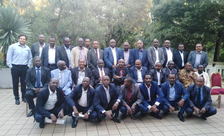 Members of the Sovereign Council, the 3rd and 5th in the second rank, pose with the SRF leadership in Addis Ababa on 7 Oct 2019 (ST photo)
