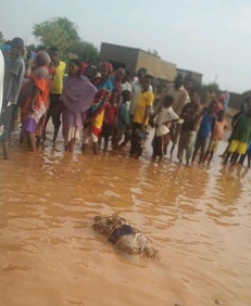 صورة لرجل  توفي غرقا بعد أن جرفته السيول في النهود غرب السودان.. صورة لـ(سودان تربيون)