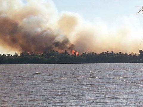 صورة من مواقع التواصل الاجتماعي لحريق أشجار النخيل في منطقة (وايسي) بصواردة