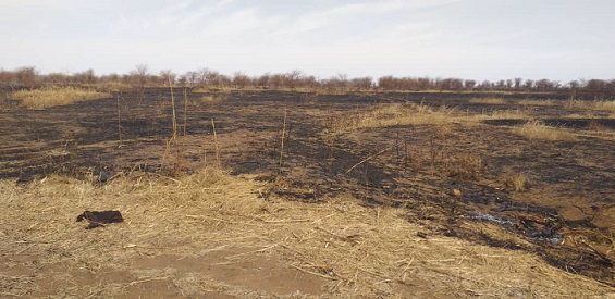 حريق قضى على الاف الافدنة في محليتي باسندة والقلابات .. (سودان تربيون)