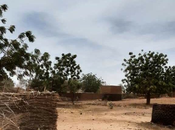 Tribal attacks West Darfur
