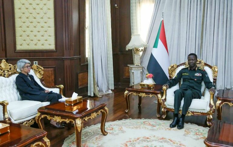 Kabbashi receives EU envoy