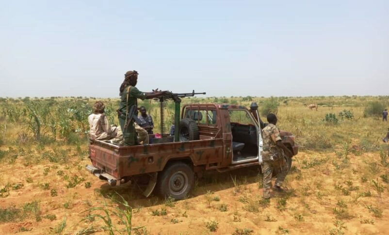 Security forces are chasing shepherds to remove their livestock from farms west of El Fasher (ST photo)