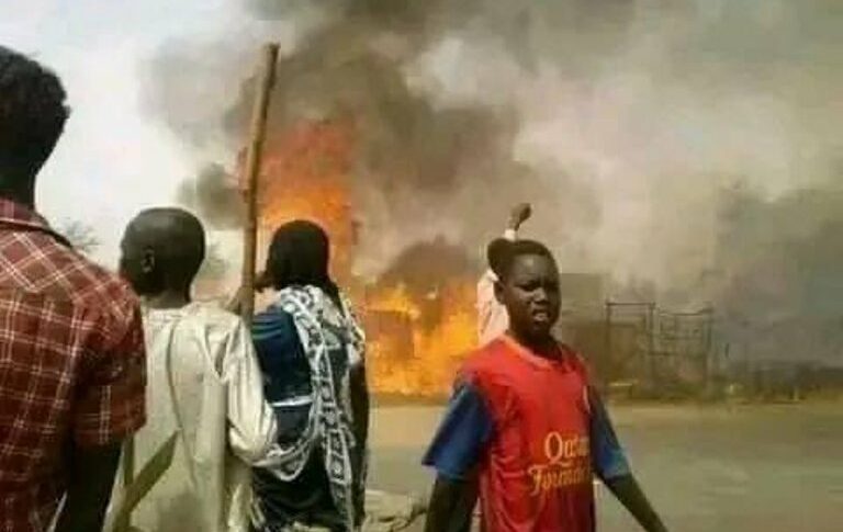 Burning houses in West Darfur Tendality area on March 24, 2023 (photo released by activists)