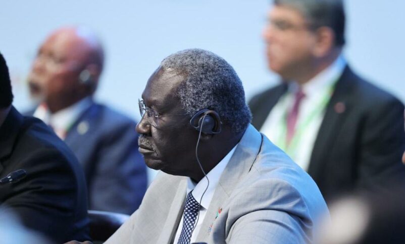 Malik Agar during the second Russia- Africa Summit on July 28, 2023