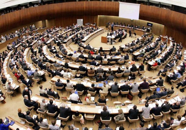 A general view of participants during the 29th Regular Session of the Human Rights Council in Geneva AFP photo