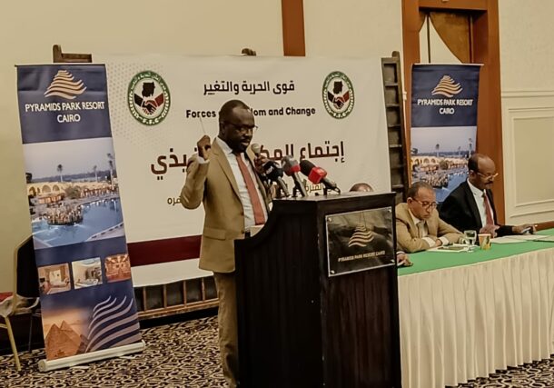 FFC leaders hold press conference at the end of a four-day meeting in Cairo on November 18, 2023
