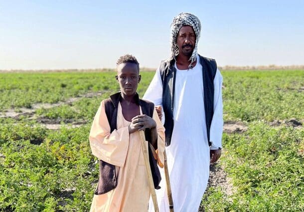 Food crisis in the Sudan deepens with 20.3 million people facing acute food insecurity FAO photo