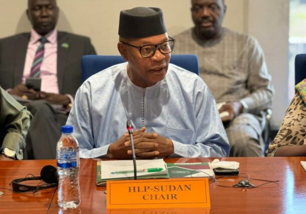 HLP-Sudan Chair Mohamed Chambas