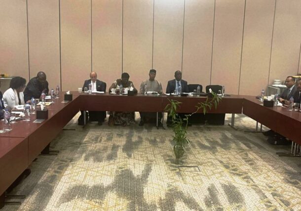 AU High-Level Panel on Sudan meets Democratic Bloc in Cairo on March 6, 2024