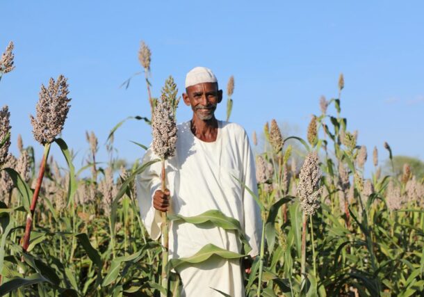 A farmer from Gonofa village, White Nile State, stands in his sorghum field, anticipating a successful harvest FAO photo