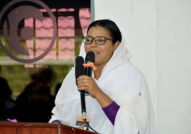 Hadia Hasballah, Gardians Chairperson