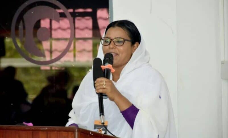 Hadia Hasballah, Gardians Chairperson