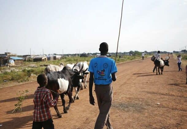A man walks with his cows as he wears a T-shirt reading Abyei referendum during the referendum in the town of Abyei October 27, 2013 - Reuters photo