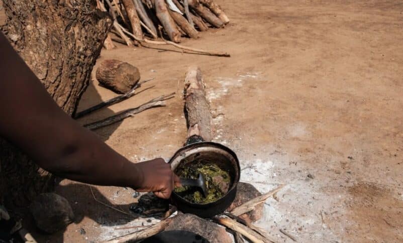 Amjuma Ali cooks Kawal leaves collected from nearby trees at a camp for the displaced people in Kadugli, South Kordofan state, on June 18, 2024, AFP photo