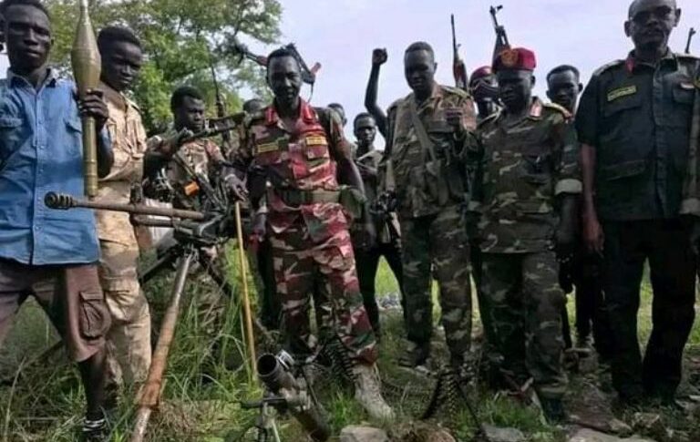 Sudanese army troops from the Blue Nile areas