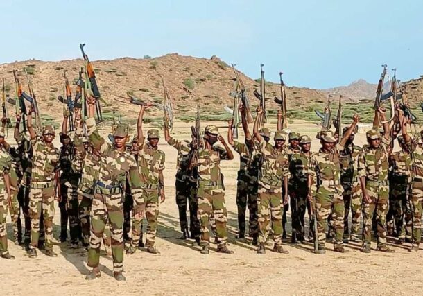Eastern Cohort forces in in Kassala state