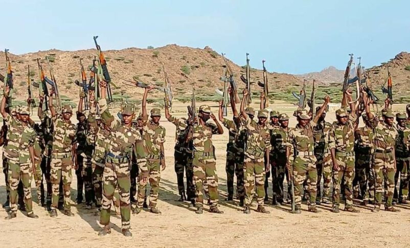 Eastern Cohort forces in in Kassala state