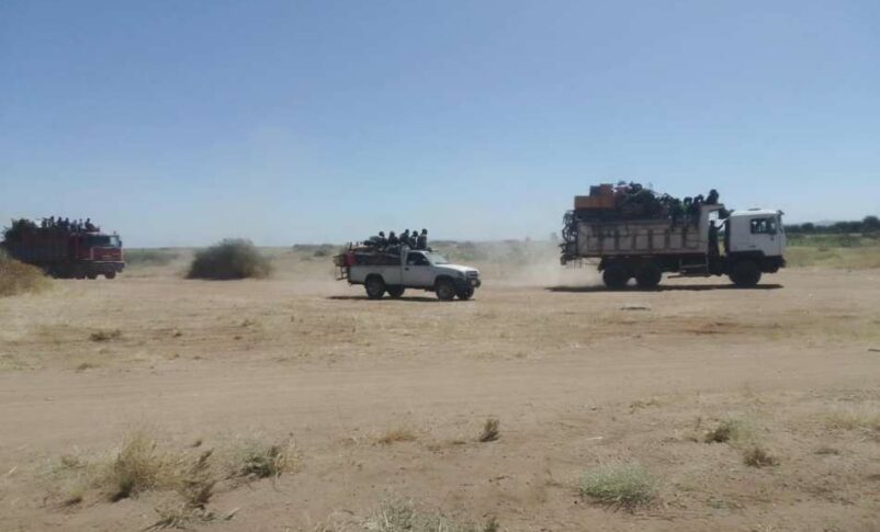 Fleeing RSF artillery fire, civilians abandon Abushok camp near El Fasher and head towards Jebel Marra on Nov 24, 2024