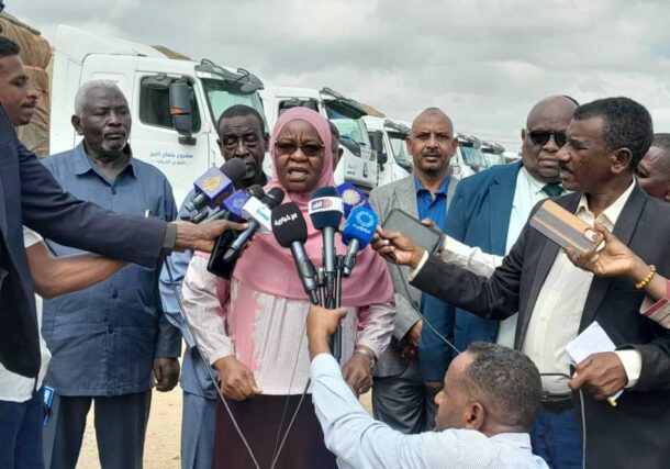Sudan's Humanitarian Aid Commissioner, Salwa Adam Biniya