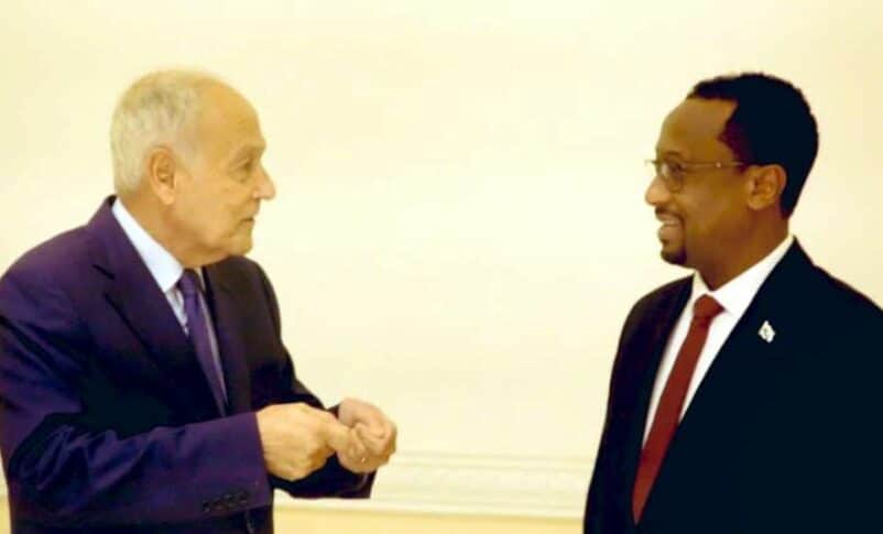 Arab League chief Ahmed Aboul Gheit (L) speaks with Khalid Aleisir in Port Sudan on December 9, 2024