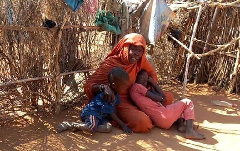 A woman and her two children in Zamzam camp, where she has sought shelter after fleeing attacks by the RSF in North Darfur. (AFP file photo)