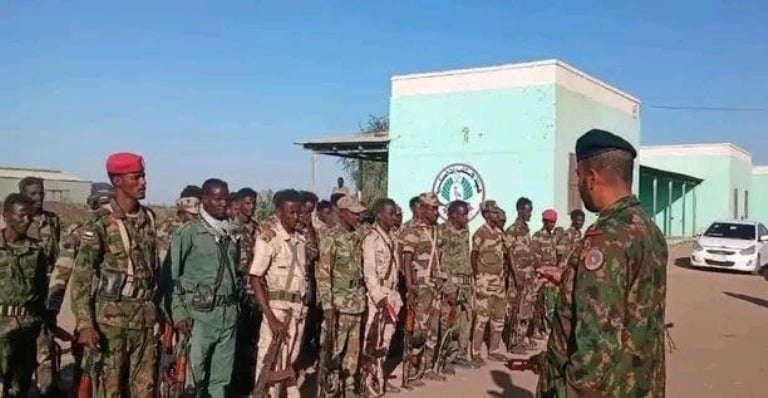 قوات الأورطة الشرقية تصل البطانة للإلتحاق بقوات درع السودان في 14 ديسمبر 2024
