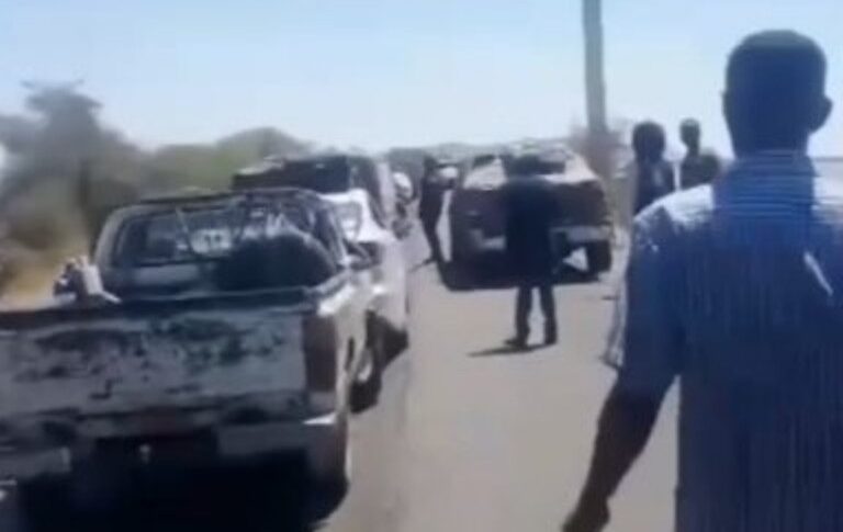 RSF elements flee Khartoum to Drfur hough Jebel Aulia on March 25, 2025