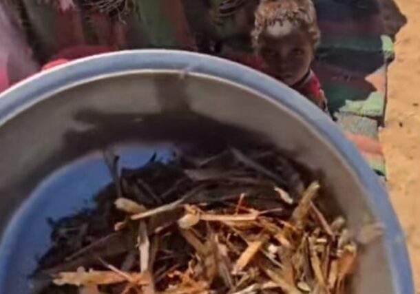A still image from video shows displaced children and their mother eating locusts in El Fasher, Sudan, amid severe food shortages reported on April 2, 2025.