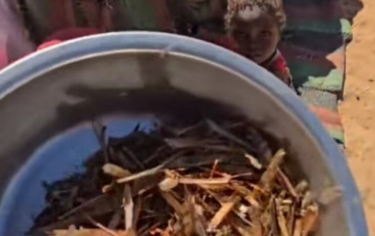 A still image from video shows displaced children and their mother eating locusts in El Fasher, Sudan, amid severe food shortages reported on April 2, 2025.