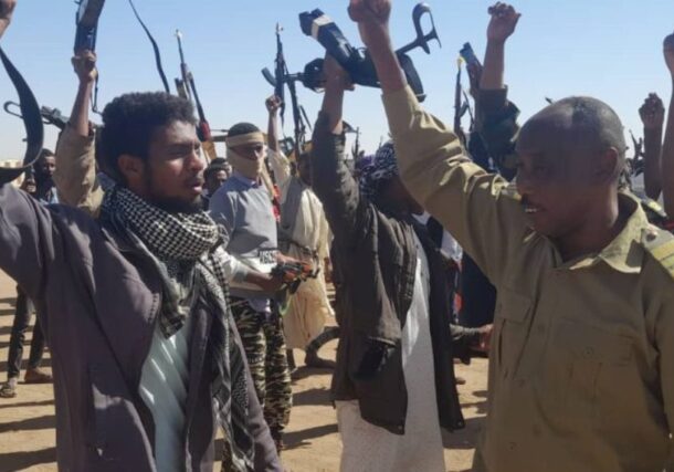 Members of Sudan's Popular Resistance take part in a training session in Shendi, River Nile state, Sudan, in this undated file photo.